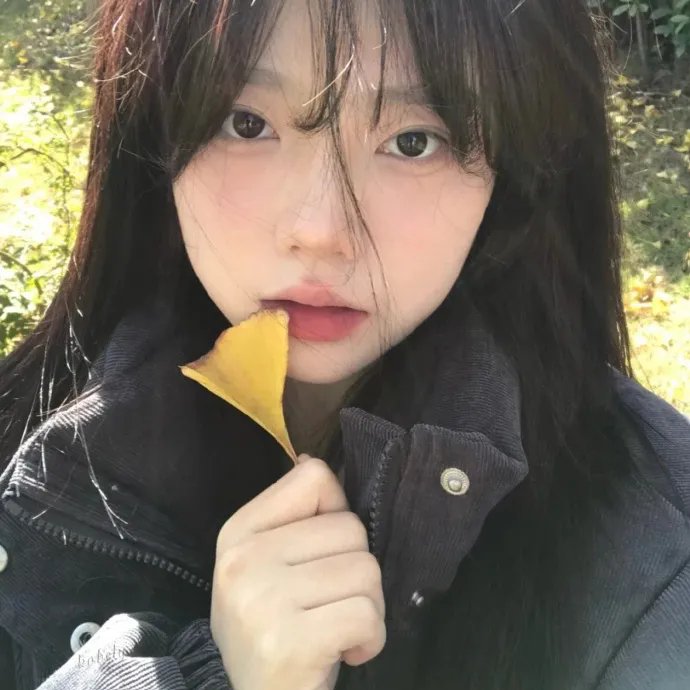 生命的圆圈